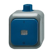 2CKA001084A0821 Переключатель 1-клавишный, 2-полюсный, IP66, для открытого монтажа, для работы в агрессивных средах, серия Busch-Duro 2000 WDI