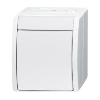 2CKA001085A1620 Переключатель 1-клавишный, перекрестный, IP44, для открытого монтажа, серия ocean, цвет альпийский белый