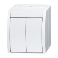 2CKA001085A1621 Выключатель 2-клавишный, для открытого монтажа, IP44, серия ocean, цвет альпийский белый