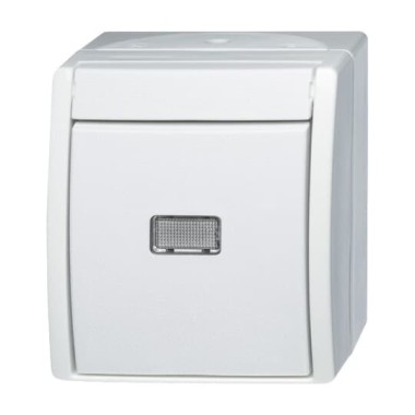 2CKA001085A1626 Переключатель 1-клавишный, с подсветкой, IP44, для открытого монтажа, серия ocean, цвет альпийский белый 2CKA001085A1626 Переключатель 1-клавишный, с подсветкой, IP44, для открытого монтажа, серия ocean, цвет альпийский белый