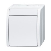 2CKA001085A1627 Выключатель 1-клавишный, 2-полюсный, IP44, для открытого монтажа, серия ocean, цвет альпийский белый