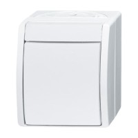 2CKA001085A1627 Выключатель 1-клавишный, 2-полюсный, IP44, для открытого монтажа, серия ocean, цвет альпийский белый