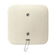 2CKA001315A0415 Переключатель со шнурком, для скрытого монтажа, серия Busch-Duro AP, цвет слоновая кость
