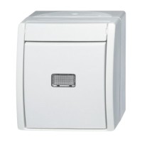 2CKA001484A0377 Кнопка 1-клавишная, 1-полюсная, с N-клеммой, IP44, для открытого монтажа, серия ocean, цвет альпийский белый