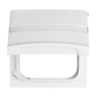 2CKA001710A1878 Плата промежуточная с крышкой для центральных плат серий Busch-Duro 2000 SI и Reflex SI, с полем для надписи, IP44, серия Allwetter 44, цвет альпийский белый