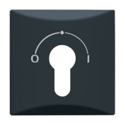 2CKA001710A1902 Плата центральная (накладка) с поворотной ручкой, с маркировкой для механизма выключателя с зам. 2733 USL-101, IP44, серия Allwetter 44, цвет антрацит