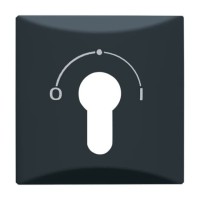 2CKA001710A1902 Плата центральная (накладка) с поворотной ручкой, с маркировкой для механизма выключателя с зам. 2733 USL-101, IP44, серия Allwetter 44, цвет антрацит