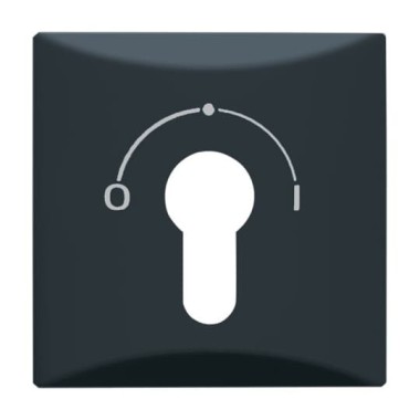 2CKA001710A1902 Плата центральная (накладка) с поворотной ручкой, с маркировкой для механизма выключателя с зам. 2733 USL-101, IP44, серия Allwetter 44, цвет антрацит