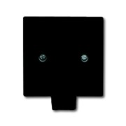 2CKA001710A1910 Плата центральная с суппортом, с выводом для кабеля (до 5 х 2.5 мм), с компенсатором натяжения, IP44, серия Allwetter 44, цвет антрацит