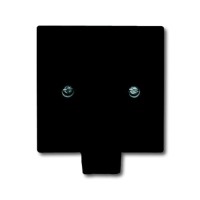 2CKA001710A1910 Плата центральная с суппортом, с выводом для кабеля (до 5 х 2.5 мм), с компенсатором натяжения, IP44, серия Allwetter 44, цвет антрацит