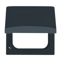 2CKA001710A1936 Плата промежуточная с крышкой для центральных плат серий Busch-Duro 2000 SI и Reflex SI, IP44, серия Allwetter 44, цвет антрацит