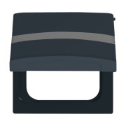 2CKA001710A1993 Плата промежуточная с крышкой для центральных плат серий Busch-Duro 2000 SI и Reflex SI, с полем для надписи, IP44, серия Allwetter 44, цвет антрацит