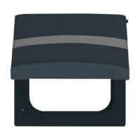 2CKA001710A1993 Плата промежуточная с крышкой для центральных плат серий Busch-Duro 2000 SI и Reflex SI, с полем для надписи, IP44, серия Allwetter 44, цвет антрацит