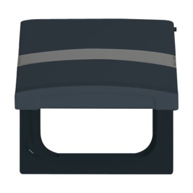 2CKA001710A1993 Плата промежуточная с крышкой для центральных плат серий Busch-Duro 2000 SI и Reflex SI, с полем для надписи, IP44, серия Allwetter 44, цвет антрацит