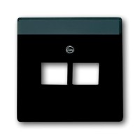 2CKA001710A3615 Плата центральная (накладка) для 2-постовой телекоммуникационной розетки 0214, 0215, 0218/12, 0220/12, 0221/12  с полем для надписи, серия Future/Axcent/Carat/Династия, цвет антрацит