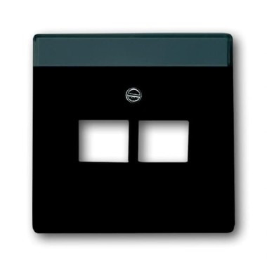 2CKA001710A3615 Плата центральная (накладка) для 2-постовой телекоммуникационной розетки 0214, 0215, 0218/12, 0220/12, 0221/12  с полем для надписи, серия Future/Axcent/Carat/Династия, цвет антрацит