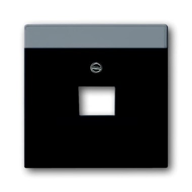 2CKA001710A3616 Плата центральная (накладка) для 1-постовой телекоммуникационной розетки 0213, 0218/11, 0220, 0221 с полем для надписи, серия Future/Axcent/Carat/Династия, цвет антрацит