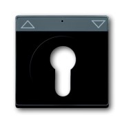 2CKA001710A3626 Плата центральная (накладка) для механизма выключателя жалюзи с зам. 2712/2713 USL-101, 2722/2723 USL-101 и 2733 USL-101, с полем дл надписи, серия Future/Axcent/Carat/Династия, цвет антрацит