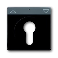 2CKA001710A3626 Плата центральная (накладка) для механизма выключателя жалюзи с зам. 2712/2713 USL-101, 2722/2723 USL-101 и 2733 USL-101, с полем дл надписи, серия Future/Axcent/Carat/Династия, цвет антрацит