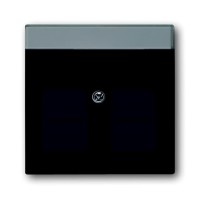 2CKA001710A3627 Плата центральная (накладка) для коммуникационных розеток с суппортами 1810, 1812, 1814, 1816 и 1818 с полем для надписи, серия Future/Axcent/Carat/Династия, цвет антрацит