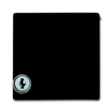 2CKA001710A3788 Плата промежуточная с крышкой для центральных плат серий Busch-Duro 2000 SI и Reflex SI, с индивидуальным зам., IP44, серия Allwette 44, цвет коричневый