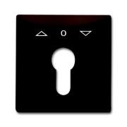 2CKA001710A3803 Плата центральная (накладка) с поворотной ручкой, с маркировкой для механизма выключателя жалюзи с зам. 2712/2713 U и 2722/2723 U, IP44, серия Allwetter 44, цвет коричневый