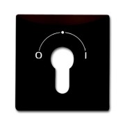 2CKA001710A3805 Плата центральная (накладка) с поворотной ручкой, с маркировкой для механизма выключателя с зам. 2733 USL-101, IP44, серия Allwetter 44, цвет коричневый