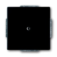 2CKA001710A3895 Заглушка с суппортом, серия Future/Axcent/Carat/Династия, цвет черный бархат