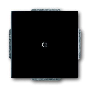 2CKA001710A3895 Заглушка с суппортом, серия Future/Axcent/Carat/Династия, цвет черный бархат