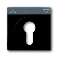 2CKA001710A3902 Плата центральная (накладка) для механизма выключателя жалюзи с зам. 2712/2713 USL-101, 2722/2723 USL-101 и 2733 USL-101, с полем дл надписи, серия Future/Axcent/Carat/Династия, цвет черный бархат