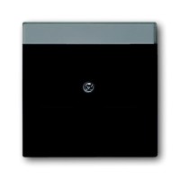 2CKA001710A3910 Плата центральная (накладка) для коммуникационных розеток с суппортами 1810, 1812, 1814, 1816 и 1818 с полем для надписи, серия Future/Axcent/Carat/Династия, цвет черный бархат