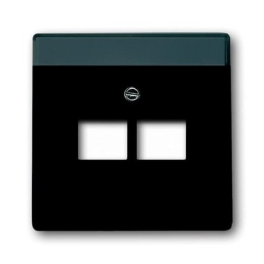 2CKA001710A3911 Плата центральная (накладка) для 2-постовой телекоммуникационной розетки 0214, 0215, 0218/12, 0220/12, 0221/12  с полем для надписи, серия Future/Axcent/Carat/Династия, цвет черный бархат