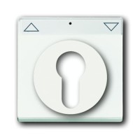 2CKA001710A3925 Плата центральная (накладка) для механизма выключателя жалюзи с зам. 2712/2713 USL-101, 2722/2723 USL-101 и 2733 USL-101, с полем дл надписи, серия Future/Axcent/Carat/Династия, цвет белый бархат