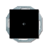 2CKA001715A0315 Заглушка с суппортом, серия Basic 55, цвет château-black