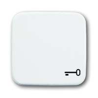 2CKA001731A0959 Клавиша для механизма 1-клавишного выключателя/переключателя/кнопки с символом 