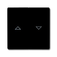 2CKA001731A1726 Клавиша для механизма выключателя жалюзи 2000/4 US и 2020/4 US, с маркировкой, IP44, серия Allwetter 44, цвет антрацит