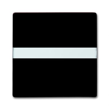 2CKA001731A1960 Клавиша для механизма 1-клавишного выключателя/переключателя/кнопки, с полем для надписи (IP44), серия Allwetter 44, цвет коричневый