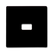 2CKA001731A1968 Клавиша для механизма 1-клавишного выключателя/переключателя/кнопки, с окном для линзы/символа, IP44, серия Allwetter 44, цвет коричневый