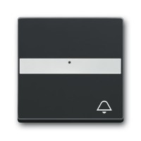 2CKA001731A4005 Клавиша для механизма 1-клавишного выключателя/переключателя/кнопки, с полем для надписи, со световодом, c символом 