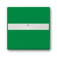 2CKA001731A4007 Клавиша для механизма 1-клавишного выключателя/переключателя/кнопки, с полем для надписи, со световодом, c символом 