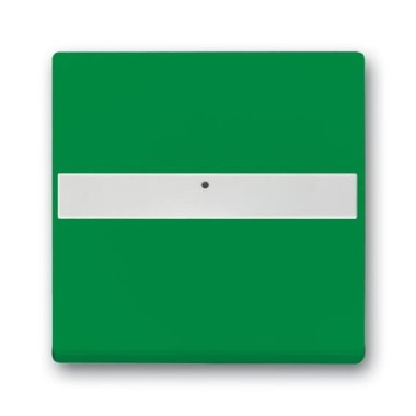 2CKA001731A4007 Клавиша для механизма 1-клавишного выключателя/переключателя/кнопки, с полем для надписи, со световодом, c символом 