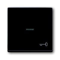 2CKA001751A2933 Клавиша для механизма 1-клавишного выключателя/переключателя/кнопки, с прозрачной линзой и символом 