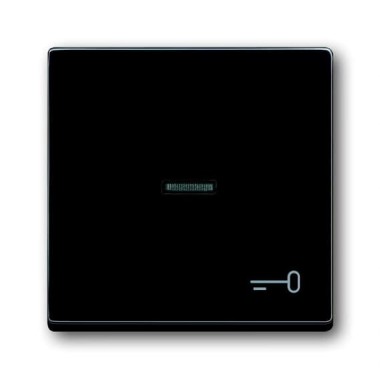 2CKA001751A2933 Клавиша для механизма 1-клавишного выключателя/переключателя/кнопки, с прозрачной линзой и символом 