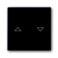 2CKA001751A2934 Клавиша для механизма выключателя жалюзи 2000/4 U и 2020/4 US, с маркировкой, серия Future/Axcent/Carat/Династия, цвет антрацит