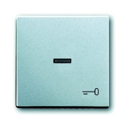 2CKA001751A2953 Клавиша для механизма 1-клавишного выключателя/переключателя/кнопки, с прозрачной линзой и символом 