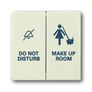 2CKA001751A2991 Клавиша для механизма 2-клавишного выключателя/переключателя/кнопки, с символом 