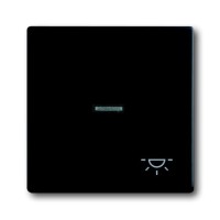 2CKA001751A3045 Клавиша для механизма 1-клавишного выключателя/переключателя/кнопки, с прозрачной линзой и символом 