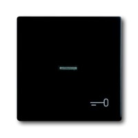 2CKA001751A3046 Клавиша для механизма 1-клавишного выключателя/переключателя/кнопки, с прозрачной линзой и символом КЛЮЧ, серия Future/Axcent/Carat/Династия, цвет черный бархат