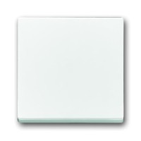 2CKA001751A3074 Клавиша для механизма 1-клавишного выключателя/переключателя/кнопки, серия Future/Axcent/Carat/Династия, цвет альпийский белый