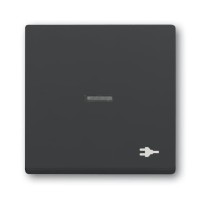 2CKA001751A3157 Клавиша для механизма 1-клавишного выключателя/переключателя/кнопки, с прозрачной линзой, c символом 